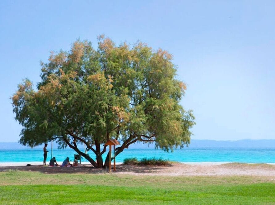standard caravan for rent Armenistis campsites Halkidiki book now